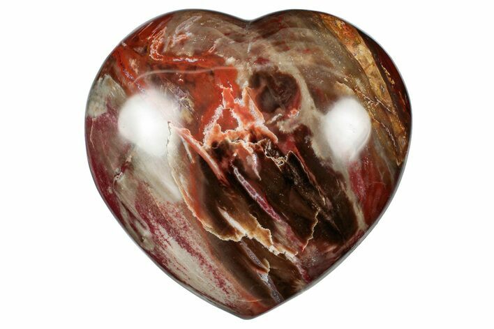 Polished Triassic Petrified Wood Heart - Madagascar #355562